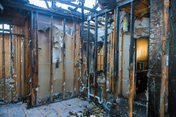 Professional Fire Damage Removal technician working in Balm, FL